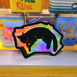 Edwin Hubble's Cat Nicolas Copernicus Sticker