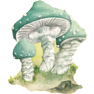 Washi Sticker: Verdigris Agaric
