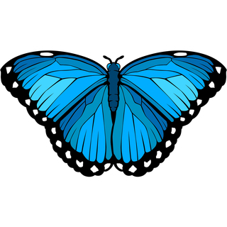 Blue Morpho Butterfly Pin