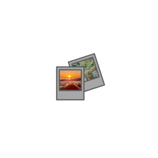 Polaroid Pin