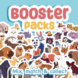 Booster Pack