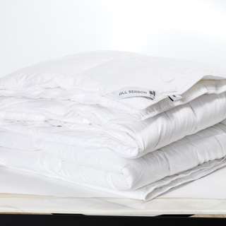 Insert Comforter - Preorder