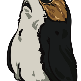 Space Puffin