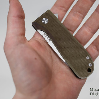 WESN Allman Micarta
