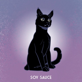 Stray Found: Soy Sauce