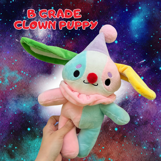 B Grade Clown Puppy