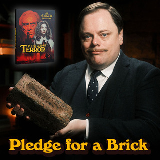 PLEDGE FOR A BRICK & BLU-RAY