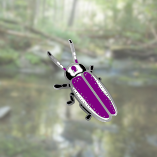 Asexual/Demisexual Firefly Mini Pin