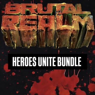 Heroes Unite Bundle-7 Characters