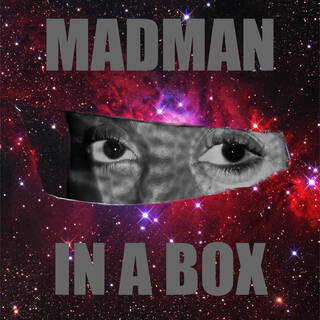 Madman In A Box (PDF)
