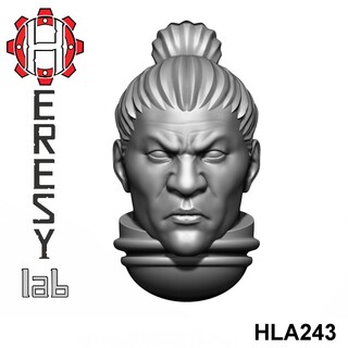 HLA243