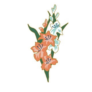 Gladiolus
