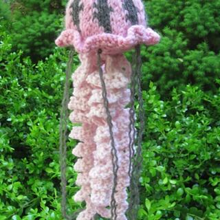 Knit Jelly Softie