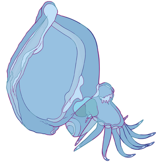 Rainbow Creator EX Mystery Mollusc Mini Pin