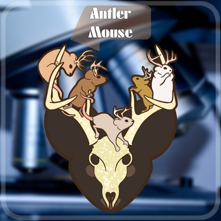 Antler Mouse Sticker