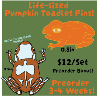 Mini Pumpkin Toadlet Pins *LIFESIZE*