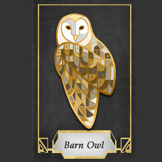 Barn Owl Pin