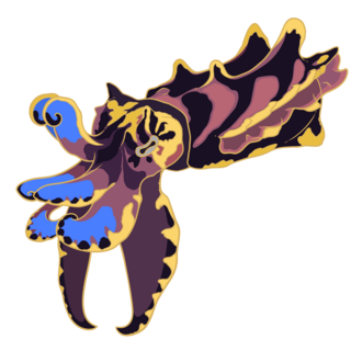 Dusk Flamboyant Cuttlefish