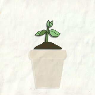 Sprout Mini Pin