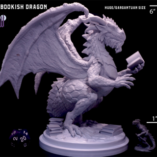 Bookish Dragon (STL)