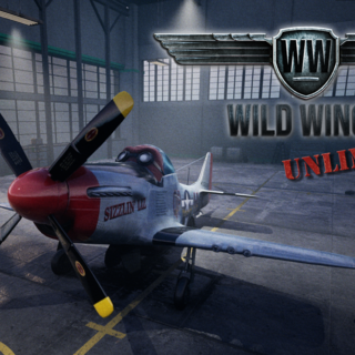 Wild Wings Unlimited™️ Aerocatures™️ computer game