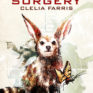 Creative Surgery by Clelia Farris