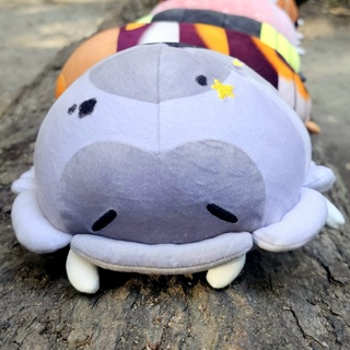 ✨️MAGIC POTION✨️