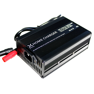 Standard Charger 300W