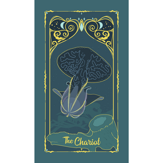 Midnight Ocean Major Arcana Tarot Deck