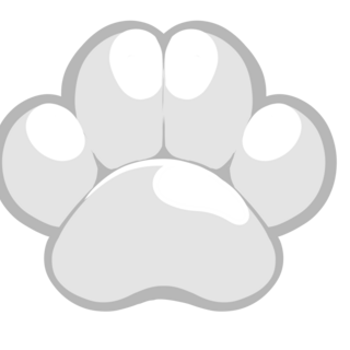 White Paw Pin