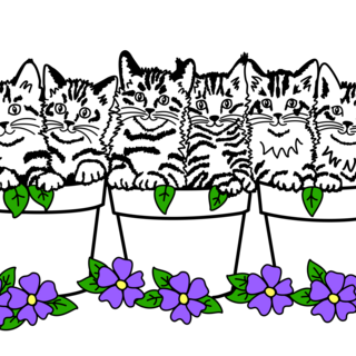 6 Kittens custom large pin