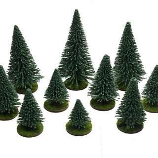 10 socled Coniferous Trees