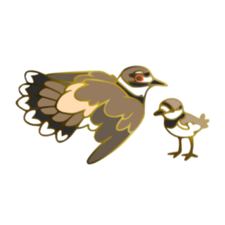 Killdeer Pin Set
