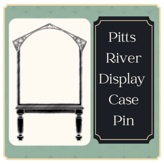 Small Display Case pin