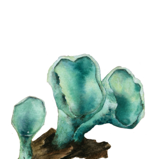 Washi Sticker: Green Elf Cups