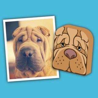 Custom Apparoo + Collector's Edition Box