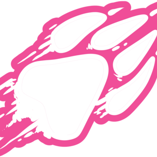 Returning Backer Pin
