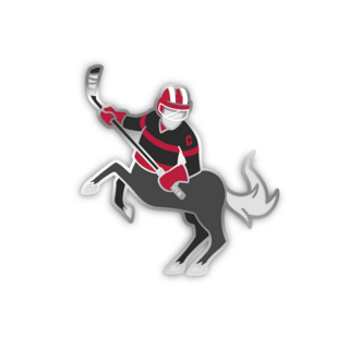 Centaurs Standard Enamel Pin