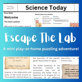Escape The Lab