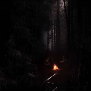 What Lurks Between The Trees - Core Rulebook - Physical