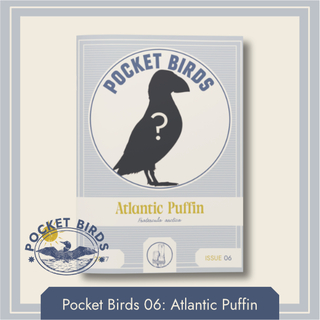 PB06 - Atlantic Puffin