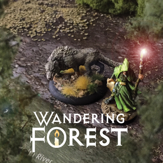 2 Wandering Forest