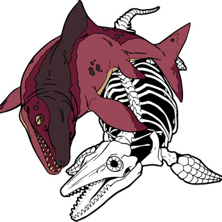 Ichthyosaur - Guest Pin - Kamren Reed