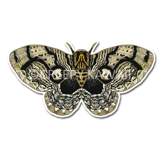 Owl Moth 3" Vinyl Sticker