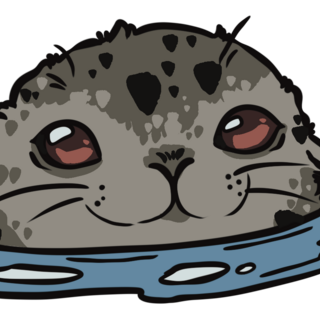 Seal pup