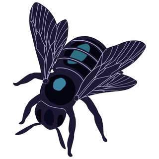 EX Free-Bee Mini Pin