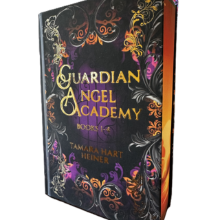 Hardcover Guardian Angel Academy Omnibus