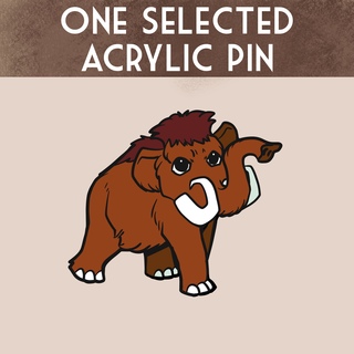 One chosen acrylic pin