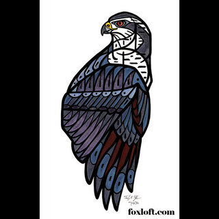 Original Painting - Goshawk