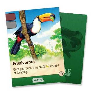 Nature: Amazon Rainforest Promo Pack